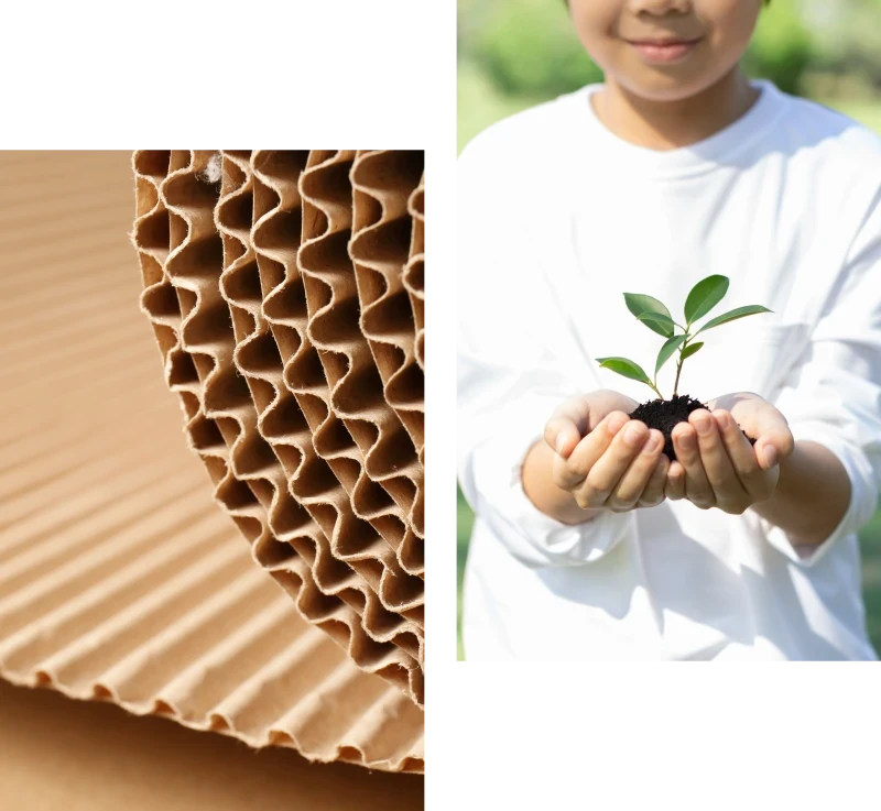 關於我們 關於我們